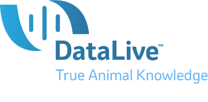 DATA LIVE 